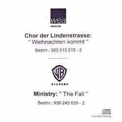 Ministry : The Fall (Split)